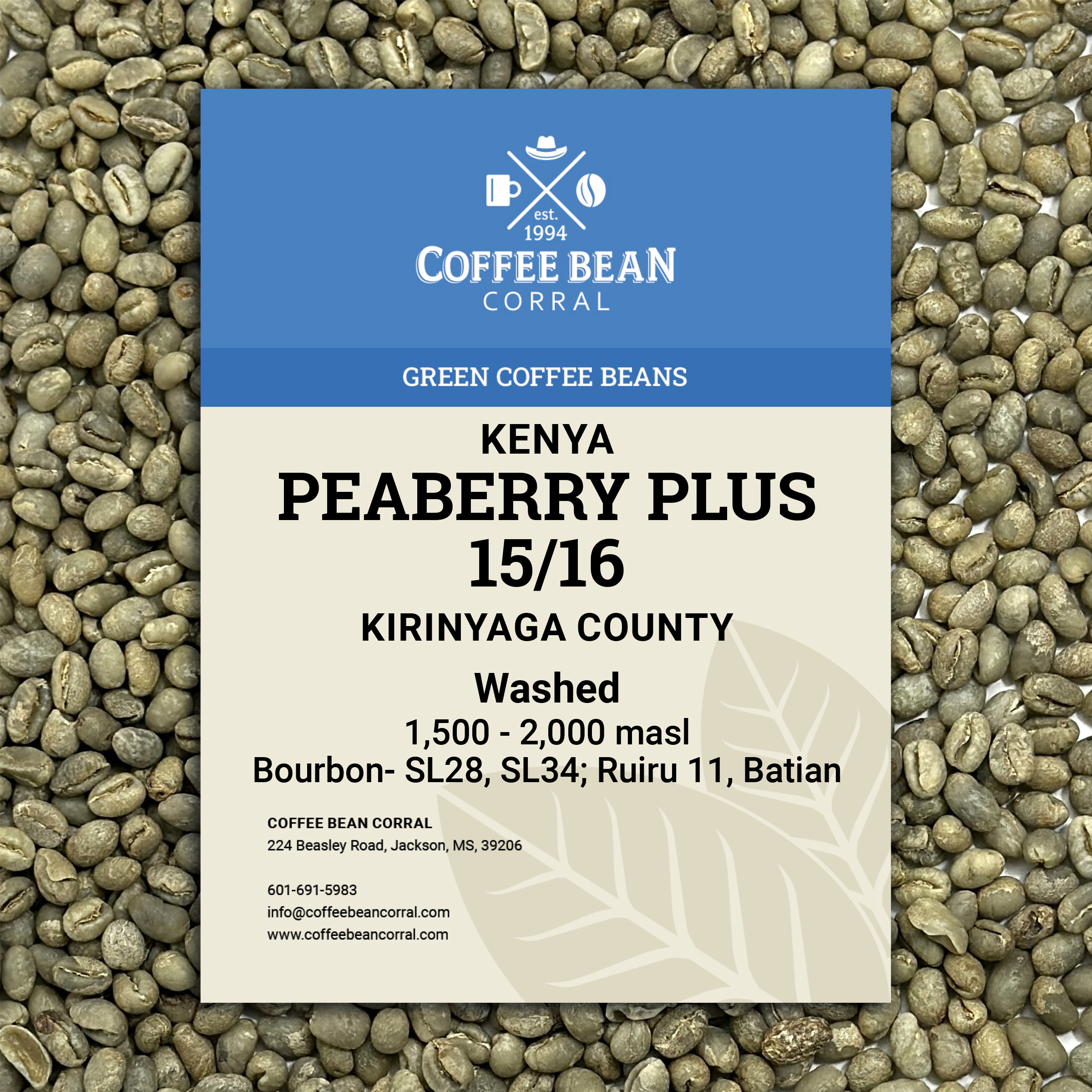 Kenya Peaberry Plus 15/16 Green Coffee Beans Coffee Bean Corral